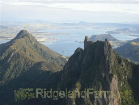 Mt Manaia from above