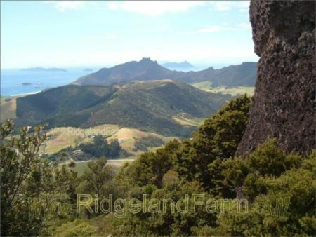 MT Manaia View