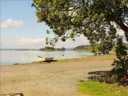 Parua Bay