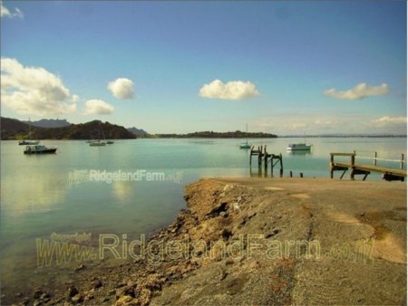 Parua Bay