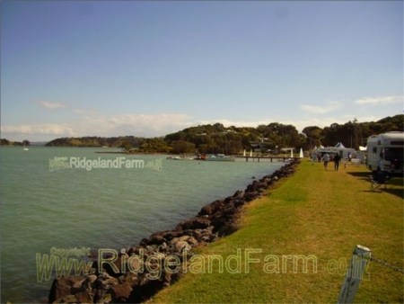 Parua Bay annual sailing champs