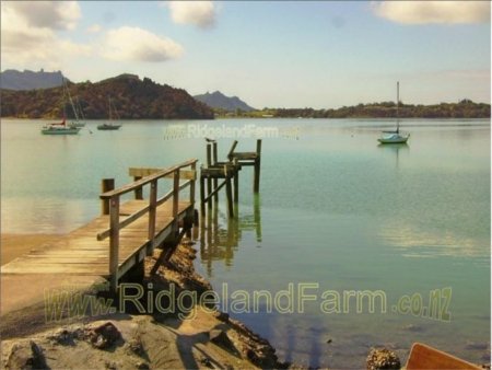 Parua Bay