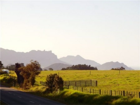 View from the gate of Manaia