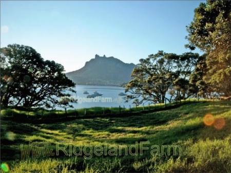Whangarei Heads